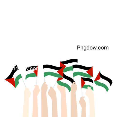 Hold flag palestine