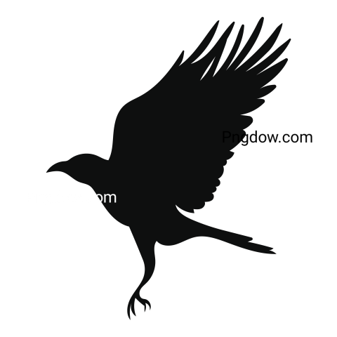 Raven transparent background image free