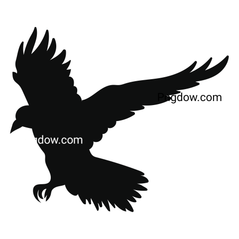Illustration of ravens  A black crowes  Cute flying crow