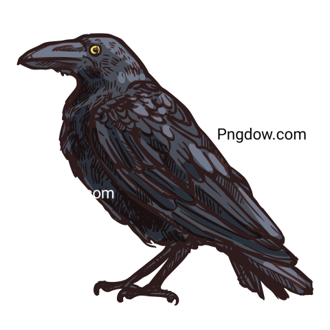 Halloween Raven Icon