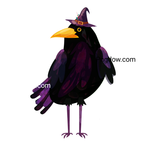 Raven wearing witch hat transparent background