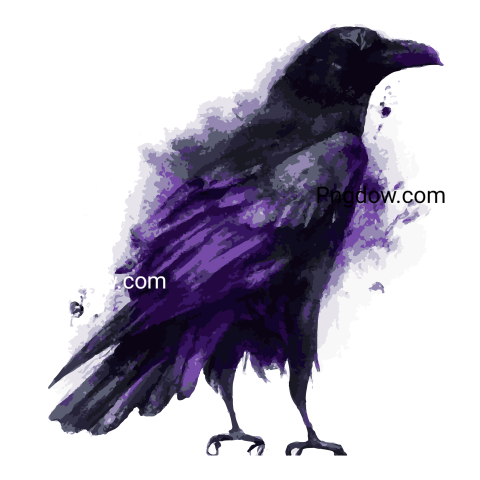 Watercolor raven transparent background