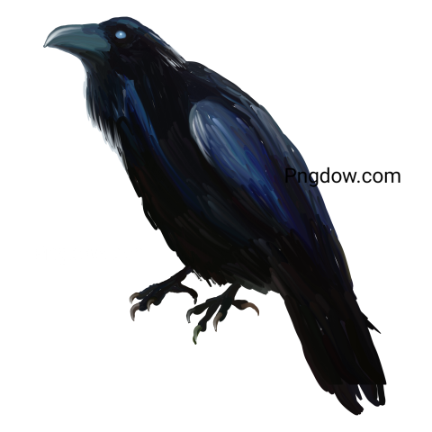 Bird black raven  Halloween clipart