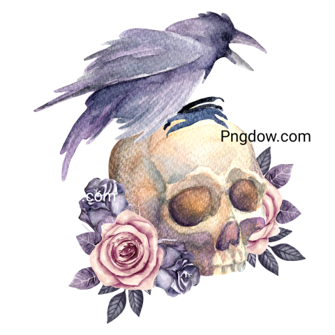 Watercolor crow, skull and roses
