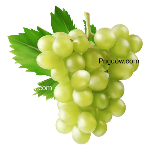 Green grape with grape leaf on transparent or white background, png