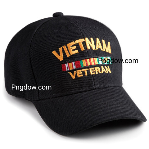 Vietnam Veteran cap on white background