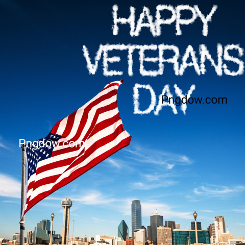Veterans day in Dallas
