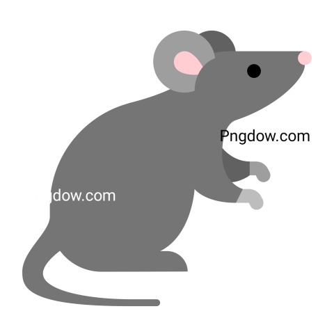 Mouse Animal free download