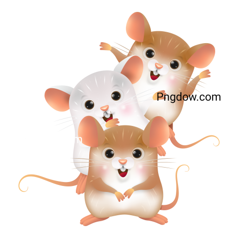 Cute Rats Cartoon Illustration