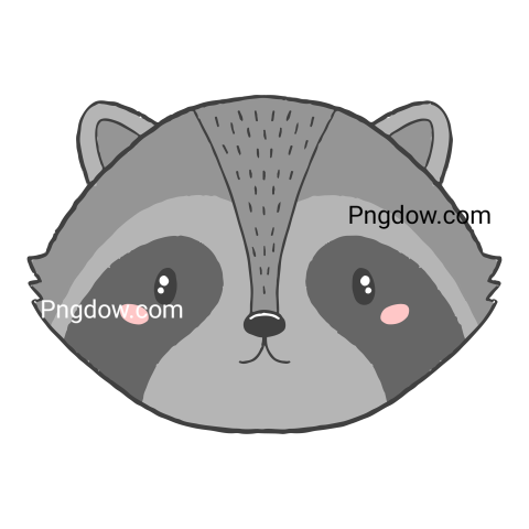 Cute Baby Raccoon Face