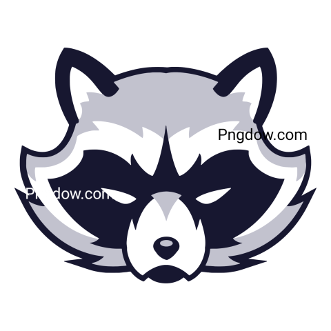 Face of Raccoon Illustration