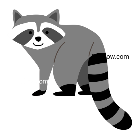 Raccoon cartoon illustration