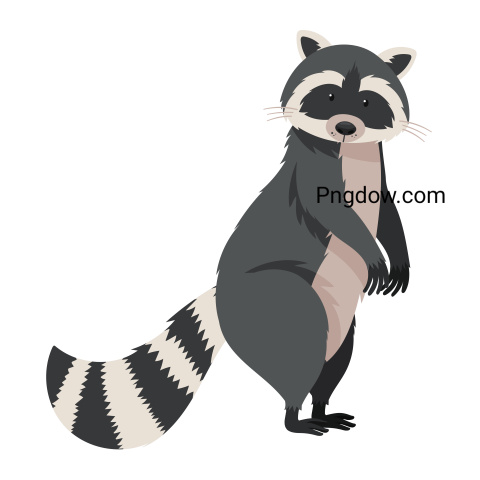 Funny Raccoon with Striped Tail Standing on Hind Legs Vector Illustration