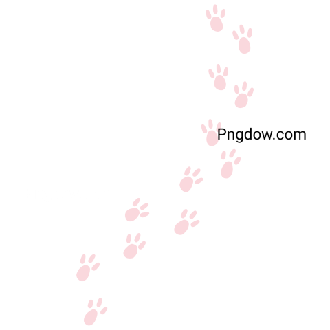 Rabbit Footprints Illustration free