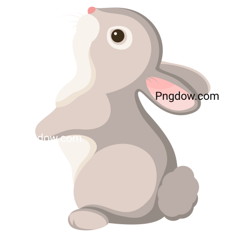 Cute Rabbit Illustration free