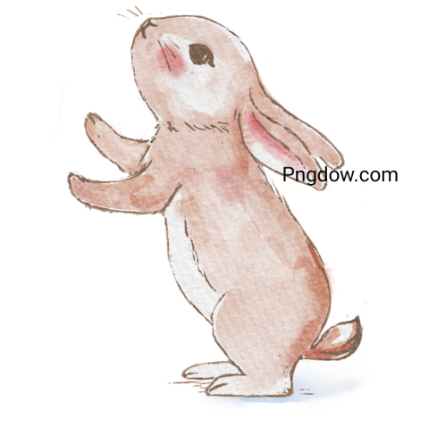 Rabbit Standing Illustration free