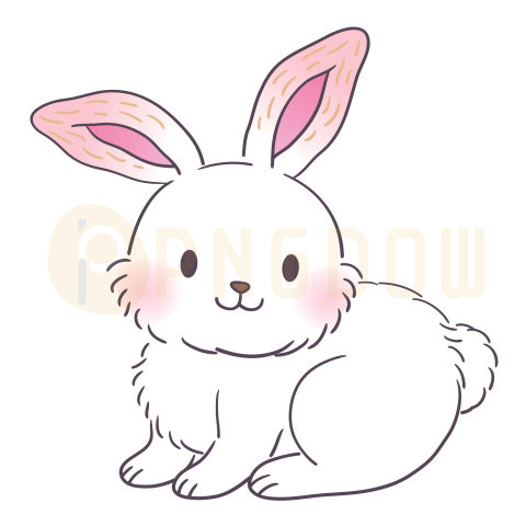 White Rabbit transparent background image free download