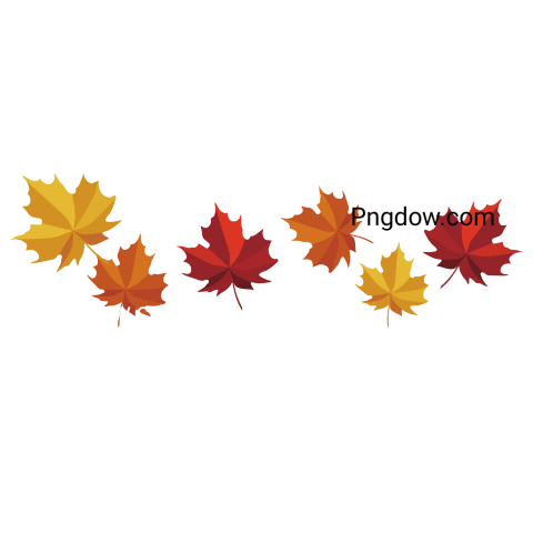 Autumn Maple Leaves, png free