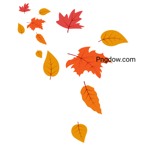 Autumn Leaves, transparent background image