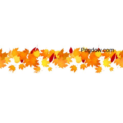 Autumn Seamless Banner of Fallen Leaves, transparent background