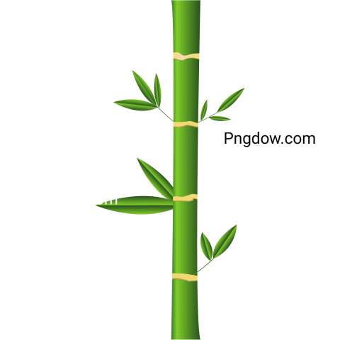 Bamboo Plant Icon