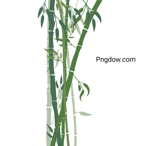 Green bamboo stems png