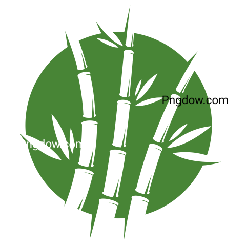Bamboo Logo transparent background image