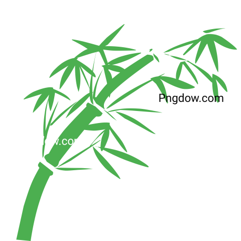 Curved Bamboo Tree Illustration