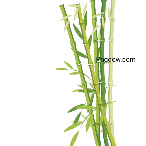 Bamboo Forest Right png