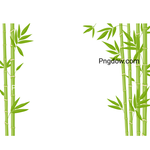 Bamboo Background  Asian Fresh Green Bamboo Stalks, Natural Bamboo Plant Backdrop, Stick Plants with Foliage Vector Illustration