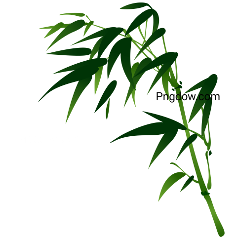 Oriental Bamboo Branch