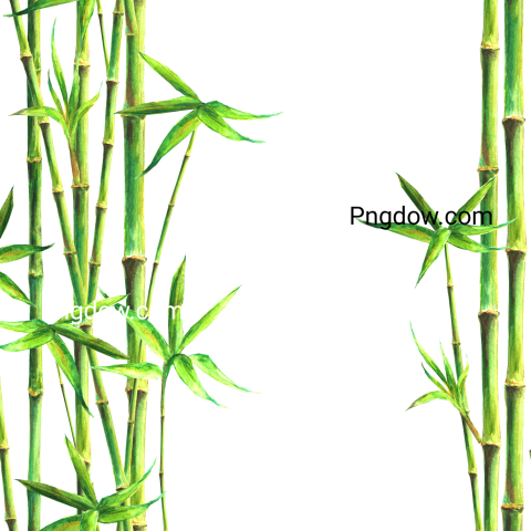 Green Bamboo Plants Illustration
