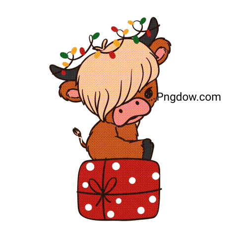 Baby Highland cow with Santa hat Christmas sticker Png, (3)