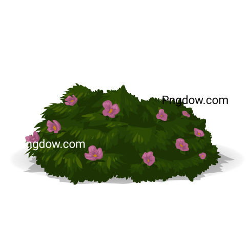 Flowering Bush Illustration for free