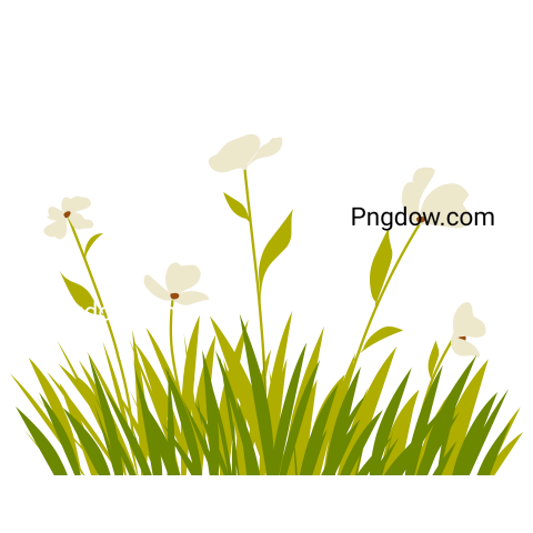 Bush with flower illustration for free
