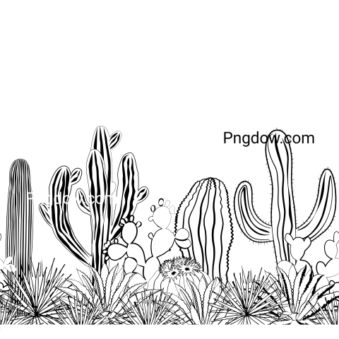 Sketch Cacti Seamless Pattern  Black and White for free