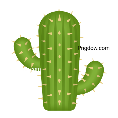 Cactus Png transparent background