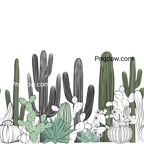 Seamless Pattern with Cactus  Wild Cactus Forest for free