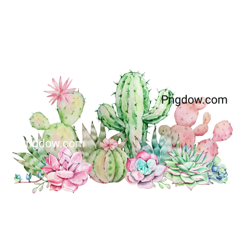 Watercolor illustration Cacti and succulents