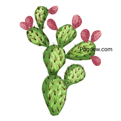 Watercolor Prickly Pear Cactus