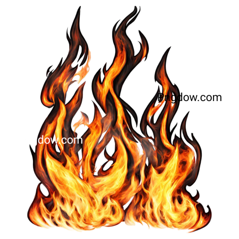 Fire PNG image with transparent background, edelweis