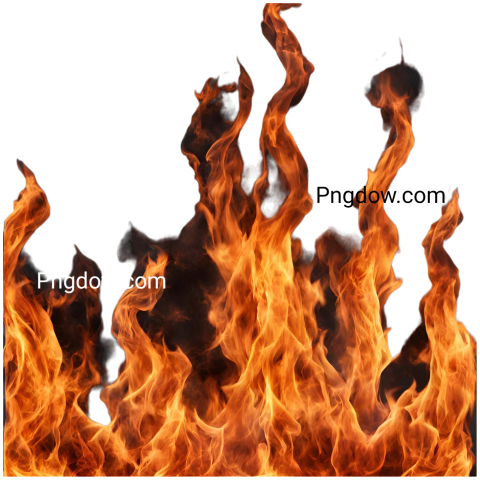 Fire vector PNG