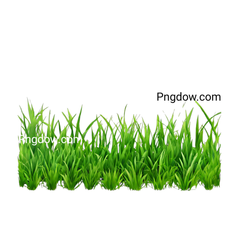 Download Grass PNG Image with Transparent Background   High Quality Grass PNG