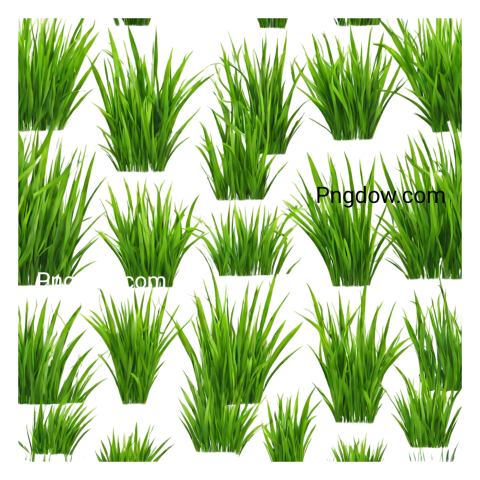 Download Grass PNG Image with Transparent Background   High Quality and Free