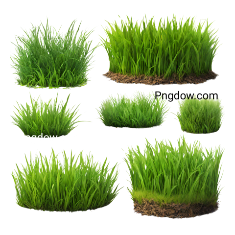 Grass png image for free