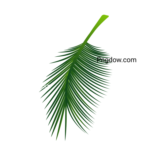 Stunning Green Leaf PNG Images with Transparent Background   Download Now