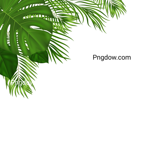 Stunning Green Leaf PNG Image with Transparent image