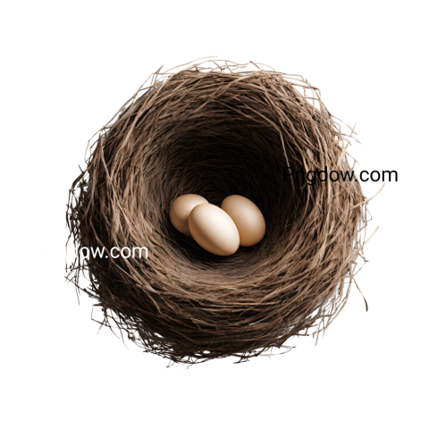 High Quality Nest PNG Image with Transparent Background   Free Download
