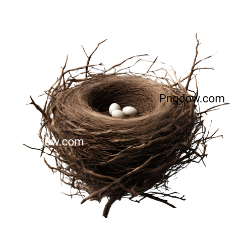Nest PNG for commercial use