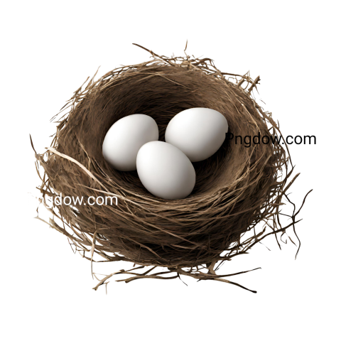 Nest  PNG image for free download